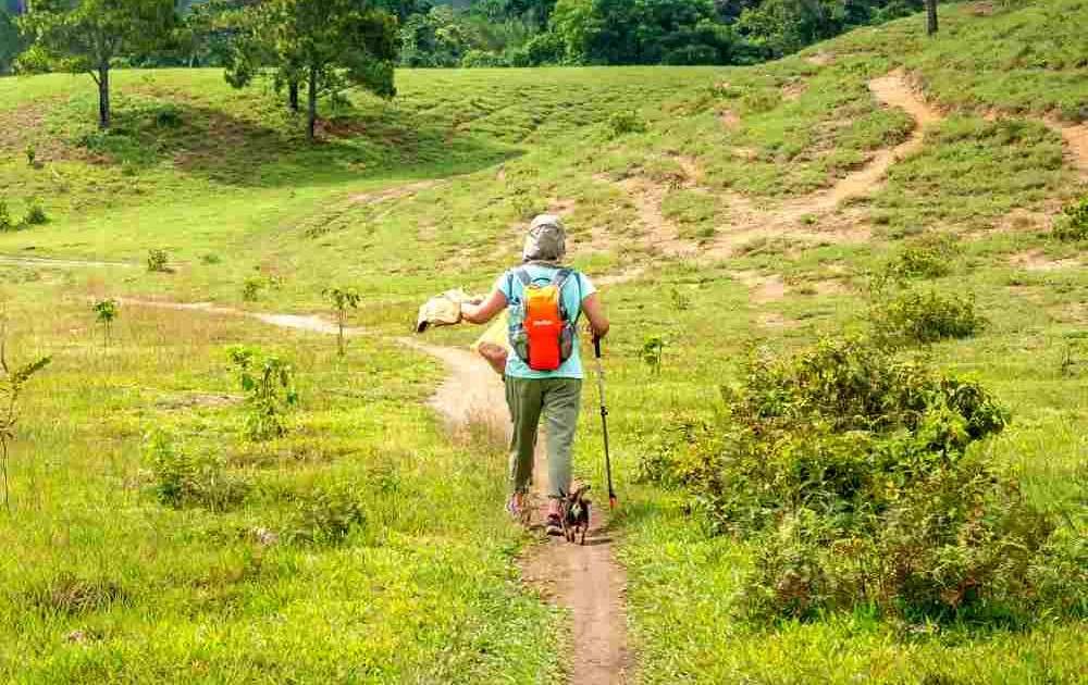 Safe Hiking Trails | List | AllTrails