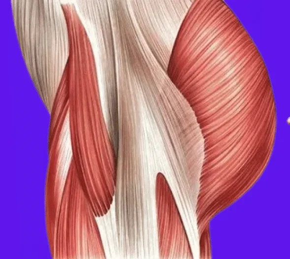Workouts for Common Runner Injuries